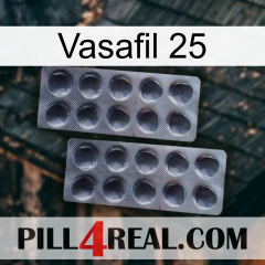 Vasafil 25 31